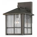 Forte One Light Royal Bronze Clear Seeded Panels Glass Wall Lantern 1061-01-14